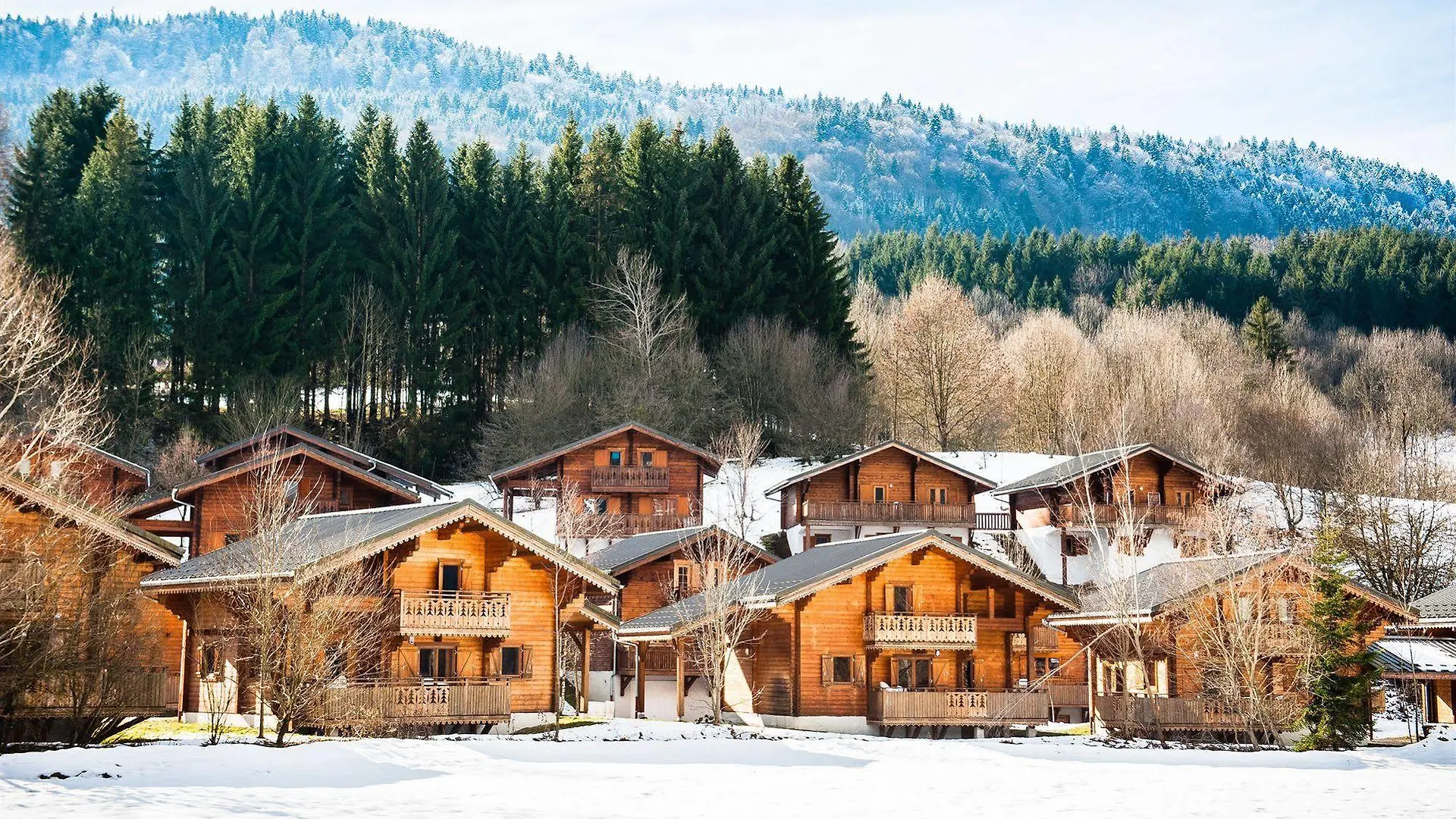 Résidence Néméa Les Chalets du Bois de Champelle Morillon
